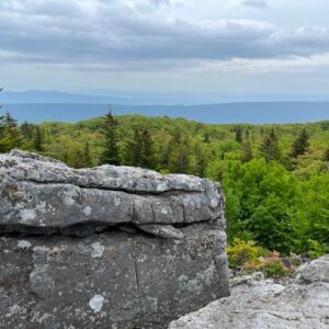 Dolly-Sods-Mary-Eckerson-Dominion-Energy