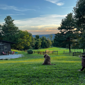 Lilly-B-WV-Chamber-Washington-Farms-Wheeling