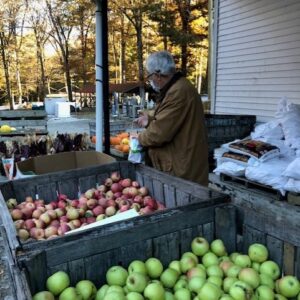 Susan Brewer – Steptoe – Apples