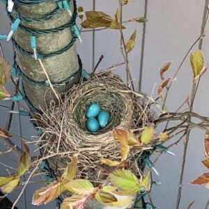 Susan Brewer – Steptoe – Robin Eggs