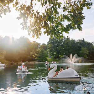 21_SWAN_BOATS_PART_DEUX-N1A3550
