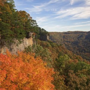 Becky Sullivan- Fayette County Chamber – EndlessWall_2018