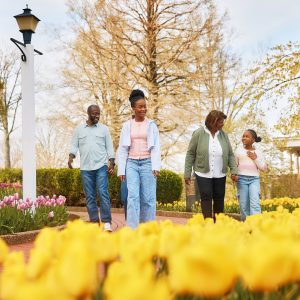 FAMILY_B-0774