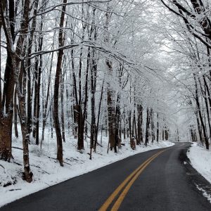Happy Rone – Berkeley Springs Chamber 1