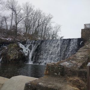 Happy Rone – Berkeley Springs Chamber 2