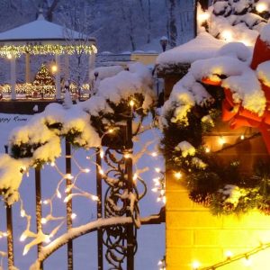 Happy Rone – Berkeley Springs Chamber – Christmas
