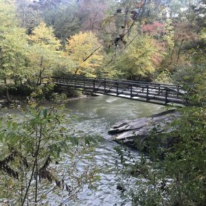 Jesse Mayle – Pyle Complete Auction & Realty Service – Bridge