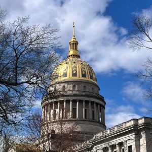 Lilly Barickman-Capitol Dome