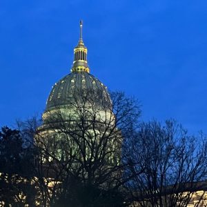Lilly Barickman-Capitol Night