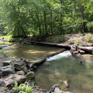 Lilly Barickman – WV Chamber – Kanawha State Forest