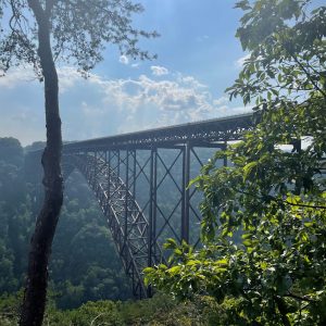 Linda Wigal-Highmark WV-Bridge Span