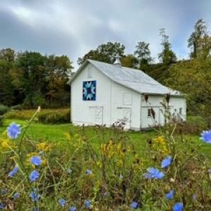 Lori Salmon – Pocahontas Co. Chamber 14