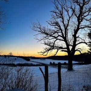 Lori Salmon – Pocahontas Co. Chamber 16