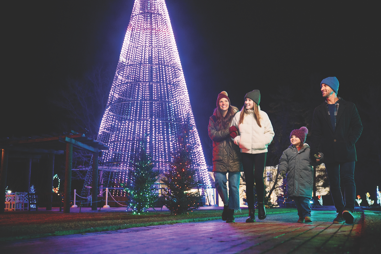 Guide to Holiday Lights