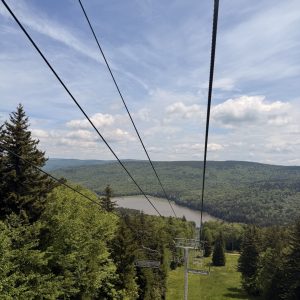 Snowshoe