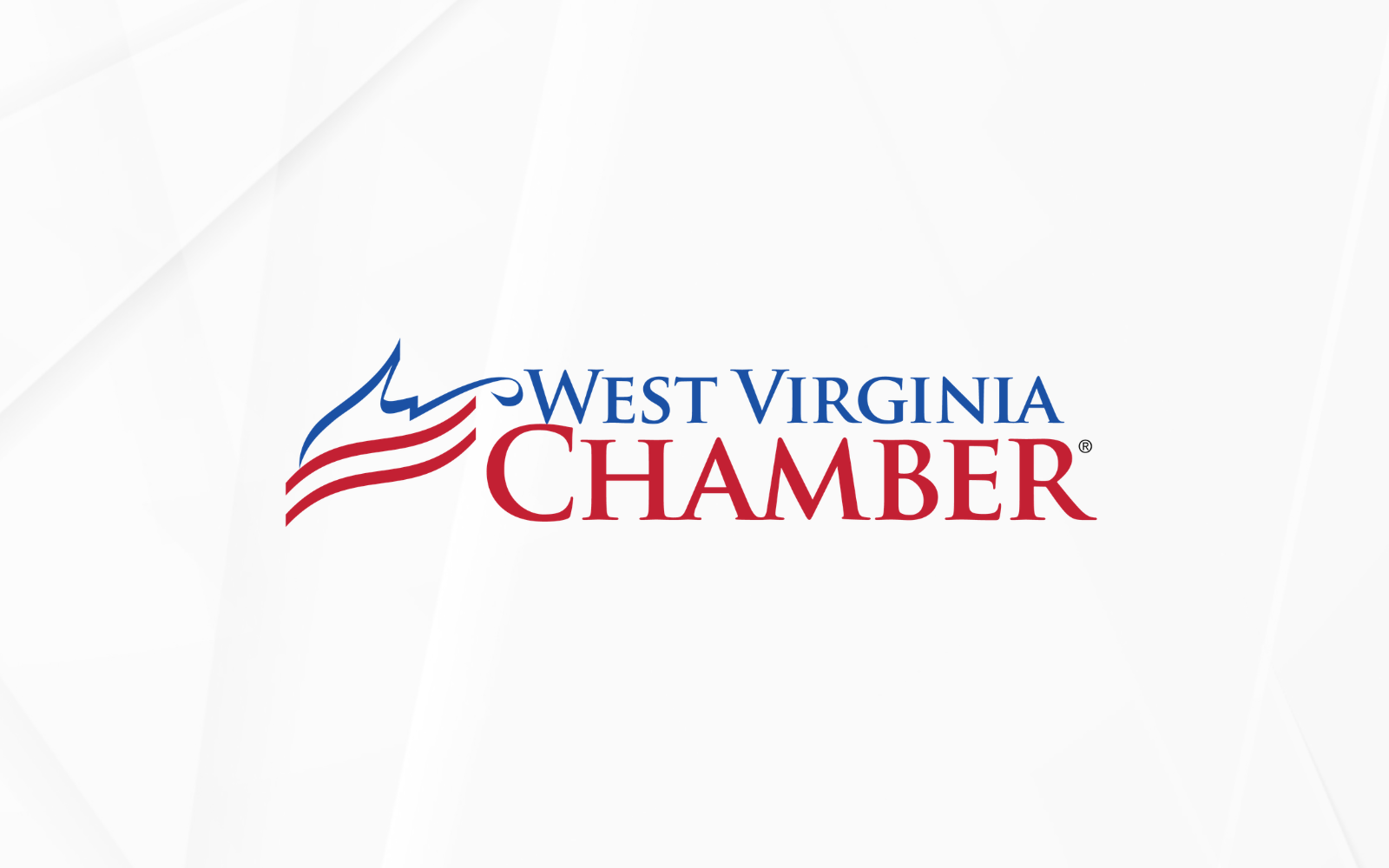 Meet the Chamber Team