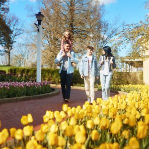 Wendy Kirker – Oglebay Mansion Tulips