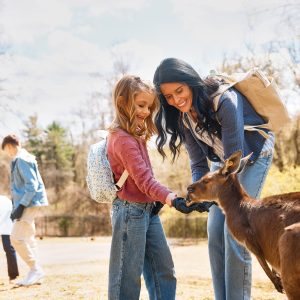 ZOO_KANGAROOS_14657